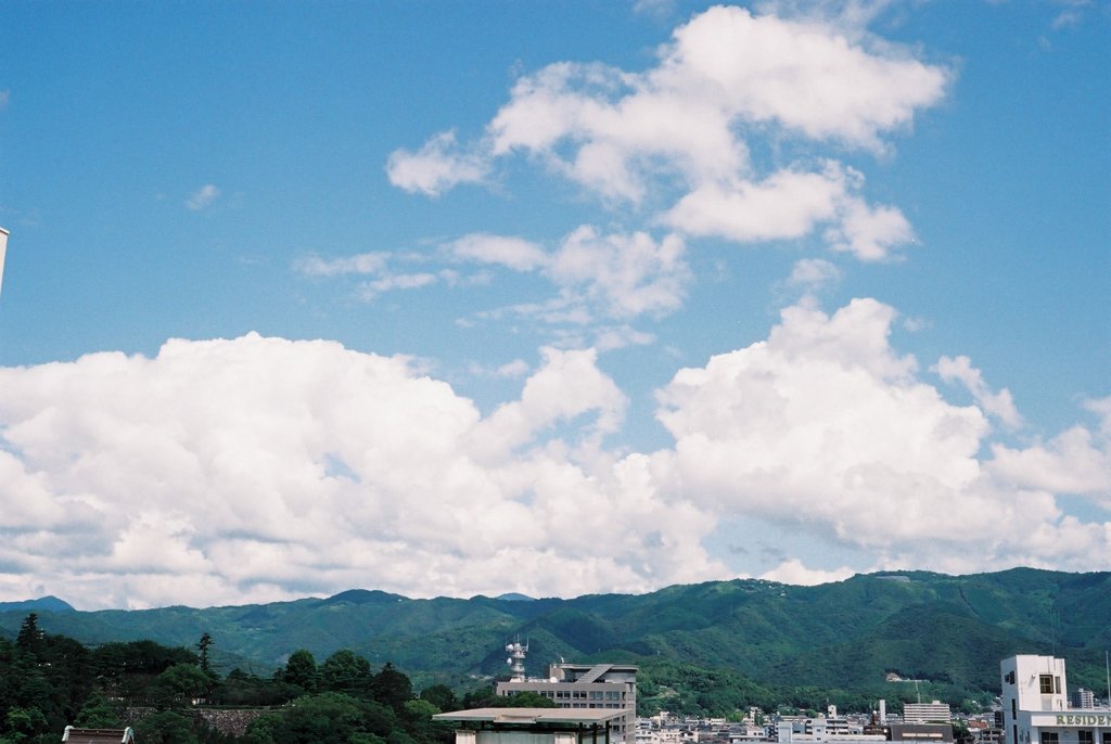 高知の夏⑥