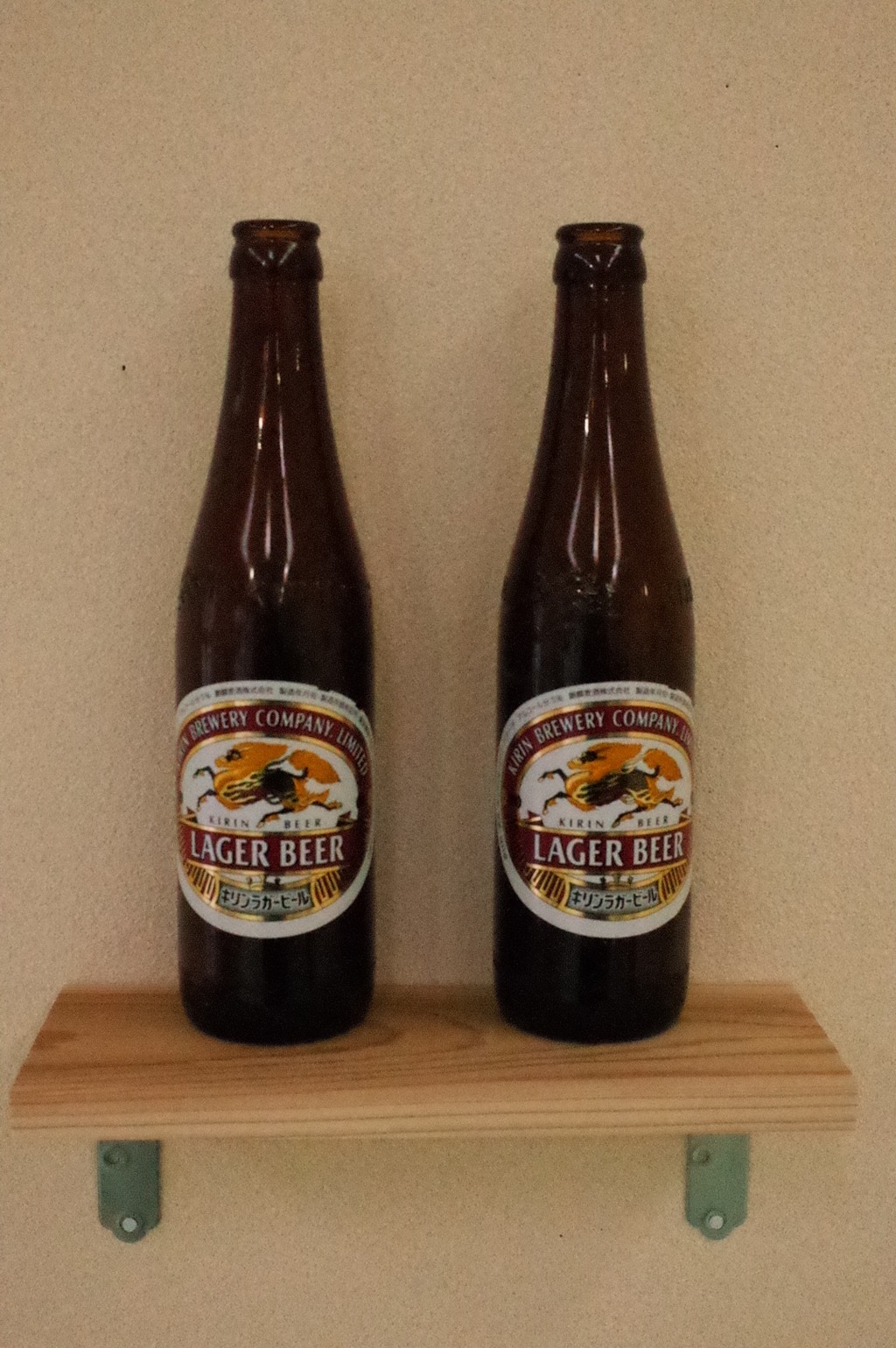 いのビエンナーレ２０１７　島崎桃代作品＠いの・なないろ