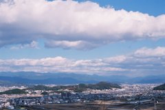 高知県立牧野植物園