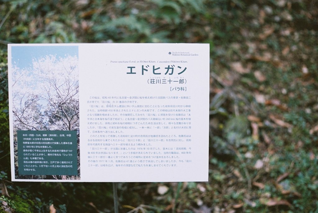 高知県立牧野植物園