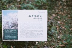 高知県立牧野植物園