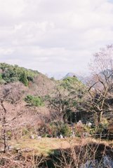 高知県立牧野植物園