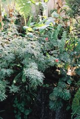 高知県立牧野植物園