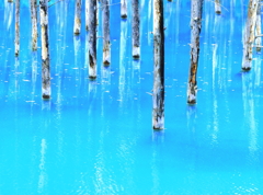 青い池