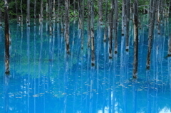 青い池 2