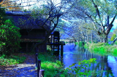 　水車のある風景