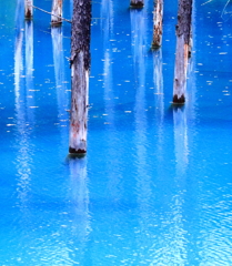 青い池　静寂