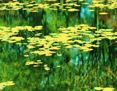 静寂