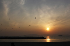 道の駅ふわりの夕景