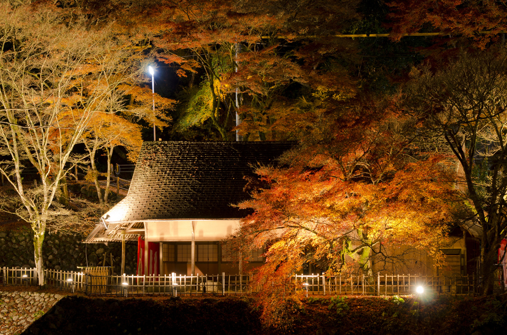 紅葉と古建屋