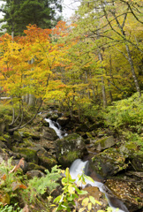滝と紅葉その１
