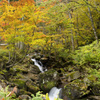 滝と紅葉その１