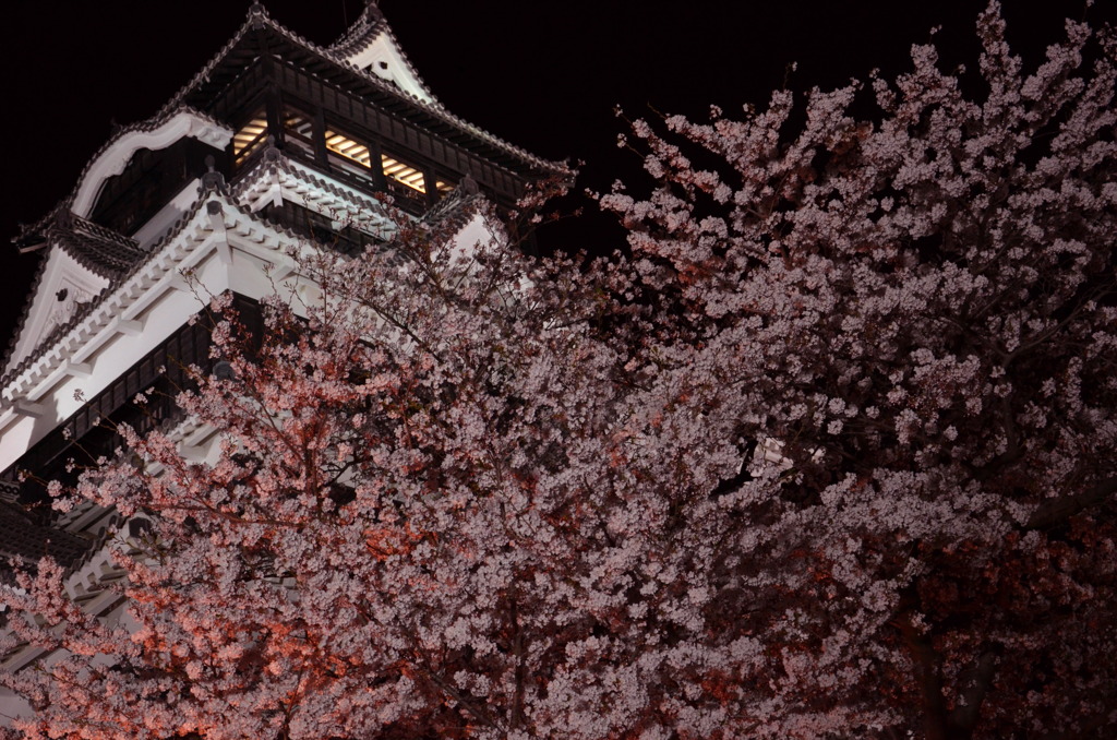 桜に乗る熊本城ｗｗ