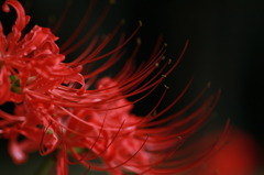 炎