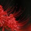 炎