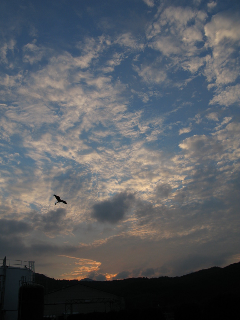 夕暮れ