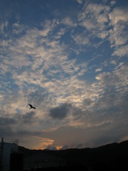 夕暮れ