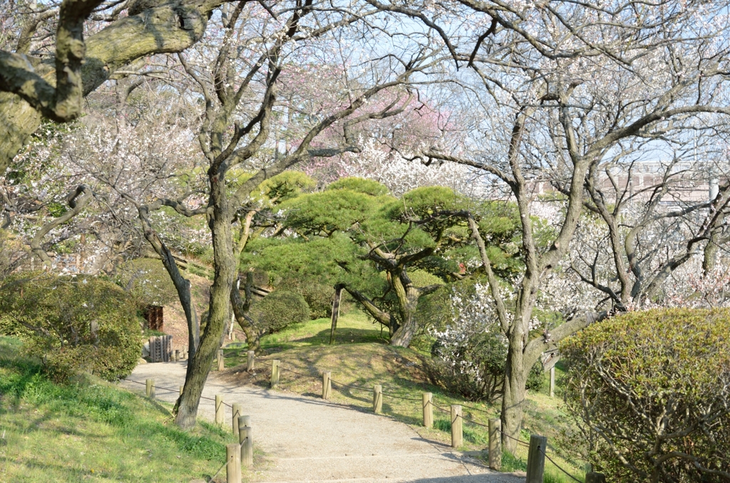 水戸_偕楽園
