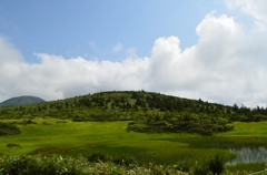 湿原