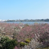 水戸_偕楽園