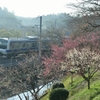 茨城_水戸_偕楽園_20150304