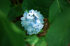 P3020730