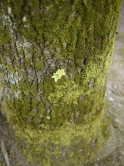 P1050745