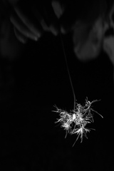 P1150264