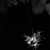 P1150264