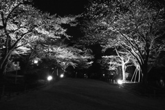P3000477