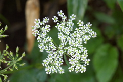 P3030408