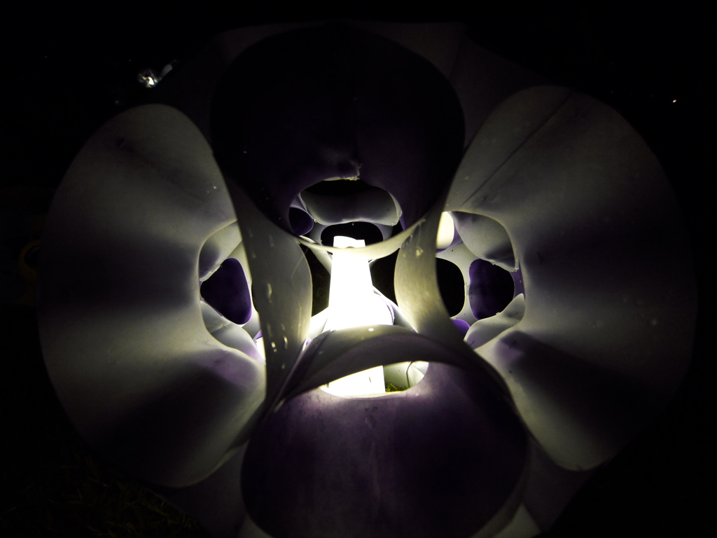 P3060222
