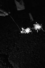 P1150255