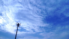 P1010677