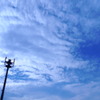 P1010677