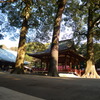 P1020866