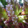 P1010650