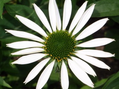 7.28　上野ファーム