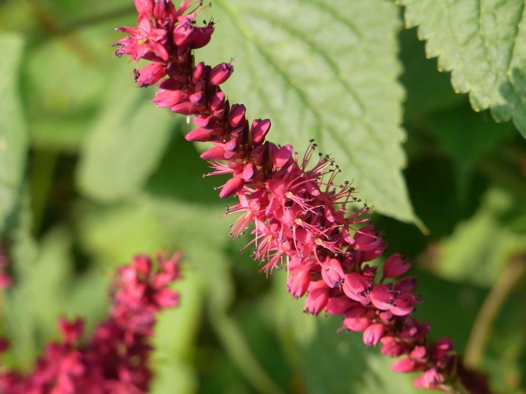 7.28　上野ファーム