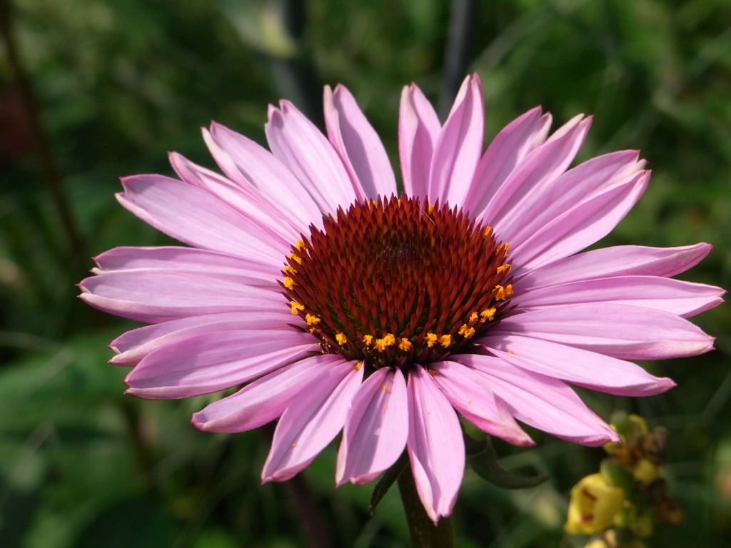 7.28　上野ファーム