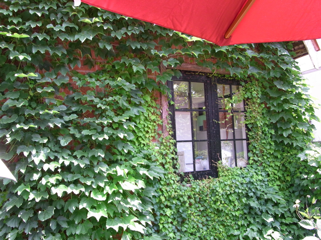 7.28　上野ファーム