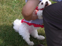 8.07　モエレ沼公園