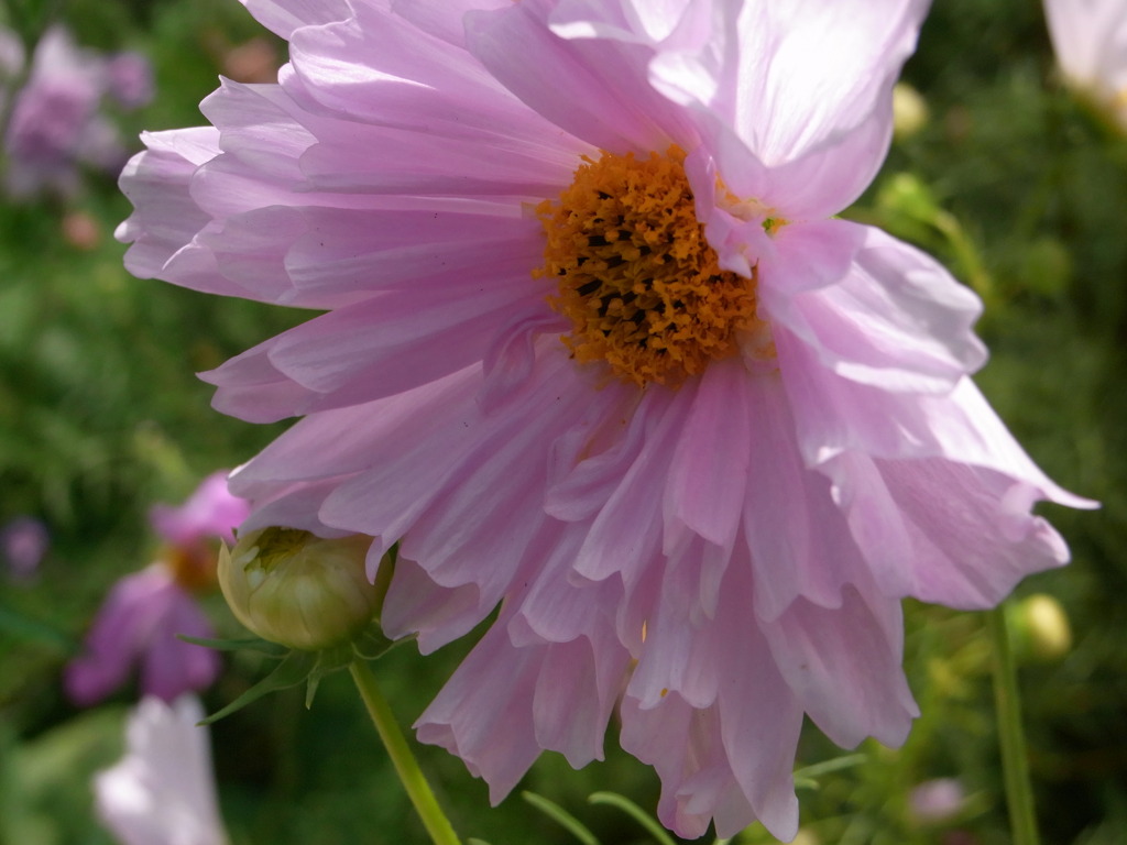 7.28　上野ファーム