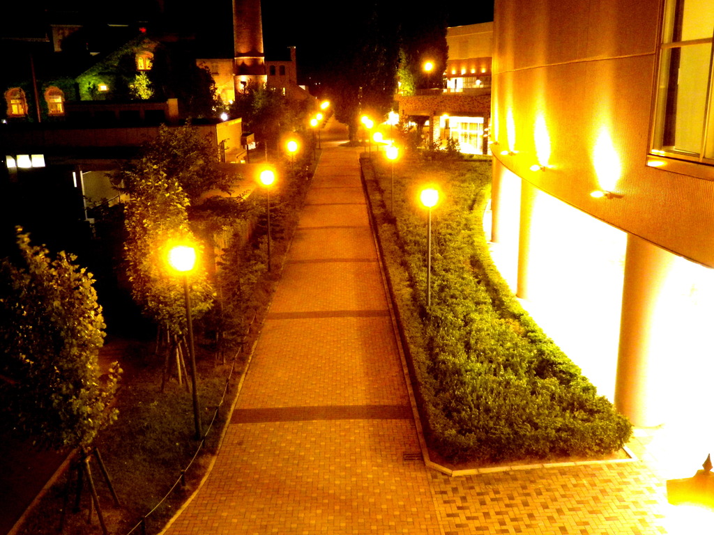 8.12　札幌ビール園