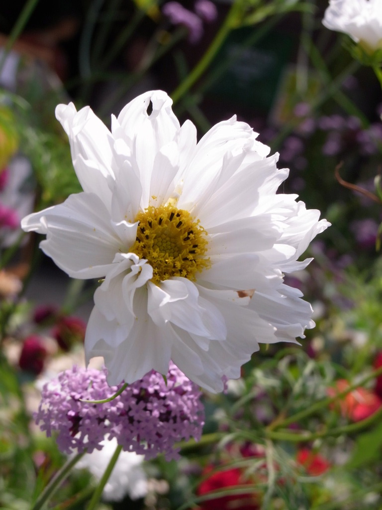 7.28　上野ファーム