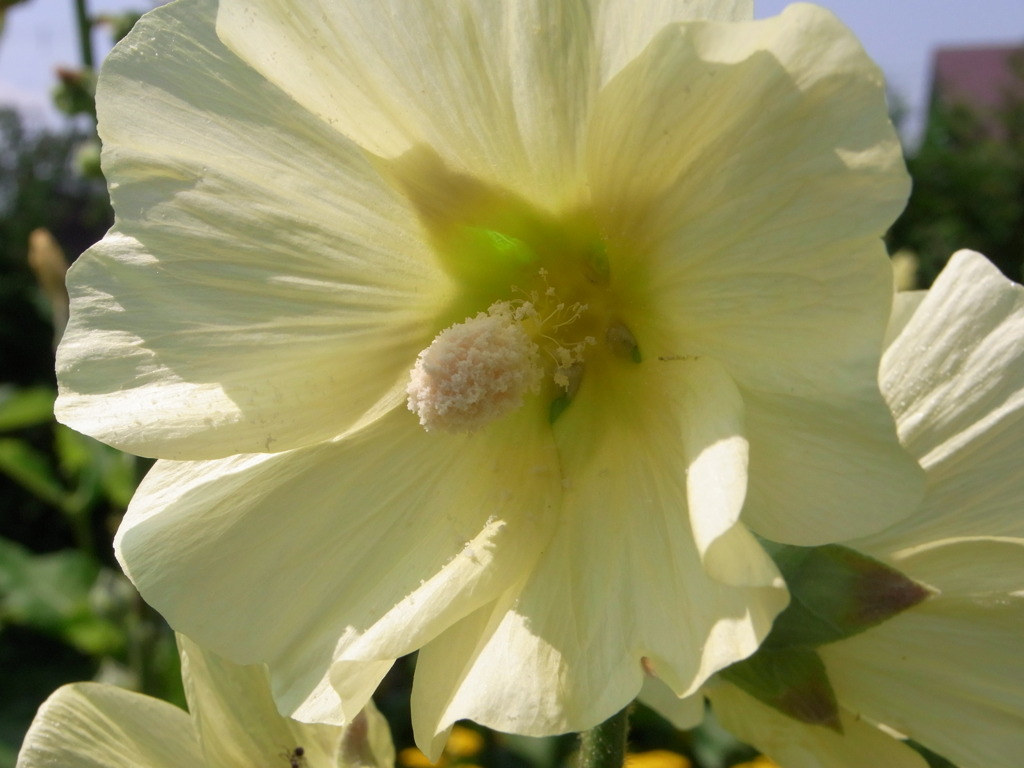 7.28　上野ファーム