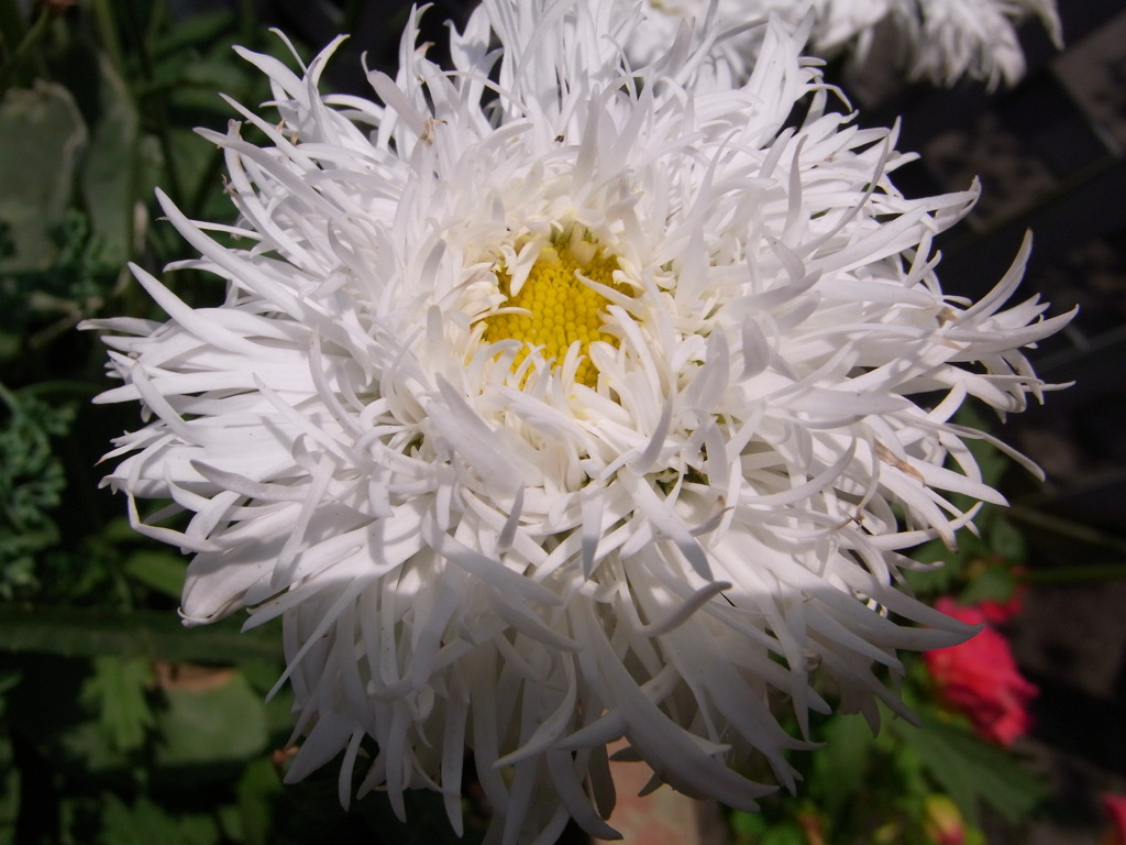 7.28　上野ファーム