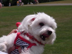 8.07　モエレ沼公園