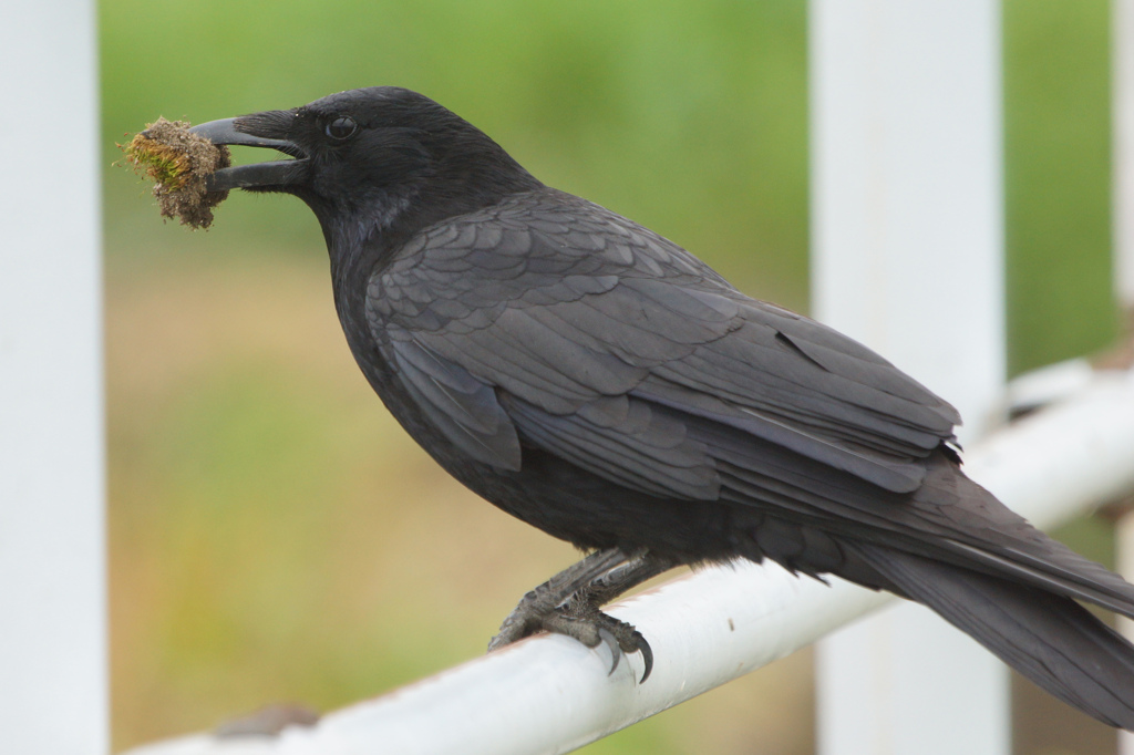 0093t こんなもので何になる