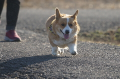 9363
